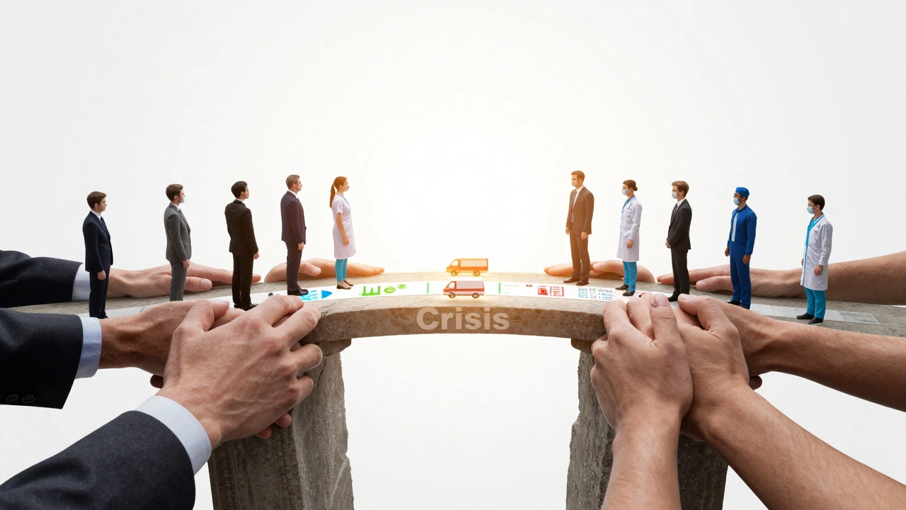 A bridge made of interlocking hands spanning a chasm labeled 'Crisis', with vaccines and data flowing across it.